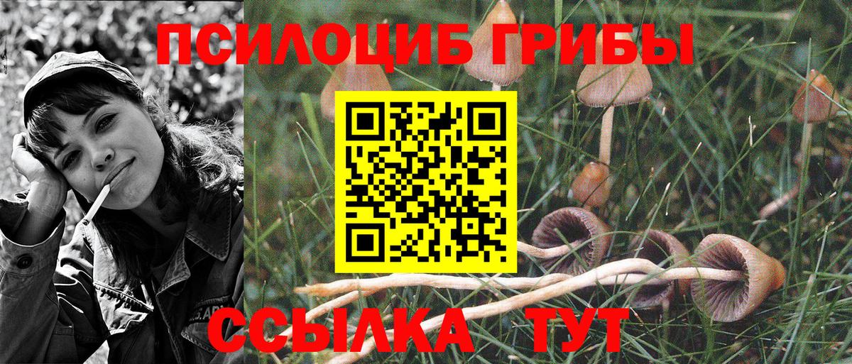 Псилоцибиновые грибы MAGIC MUSHROOMS  дарнет шоп  Краснокаменск  Вход с VPN 